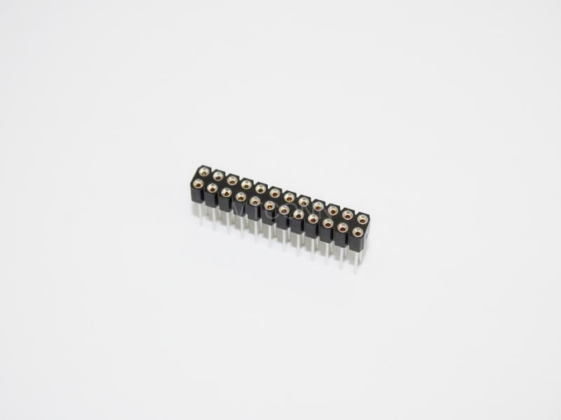 Female Header Dual Row 2*12 PH2.54mm 180 Degree DIP