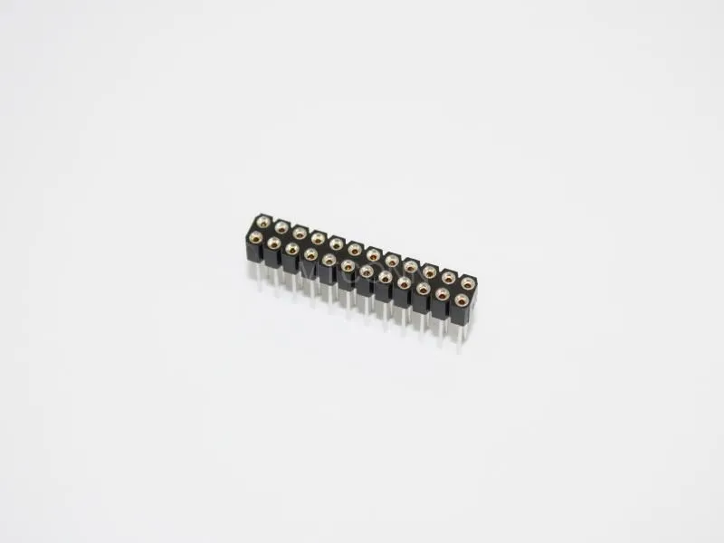 Female Header Dual Row 2*12 PH2.54mm 180 Degree DIP